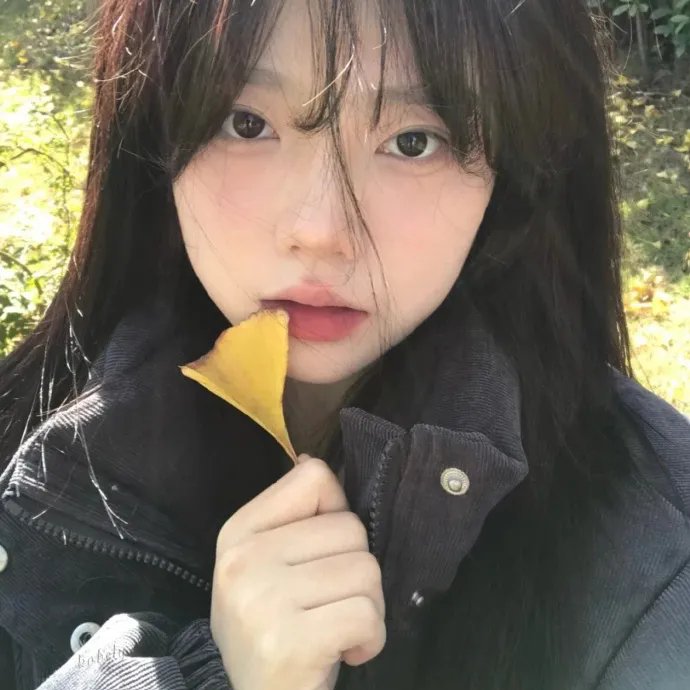 新手人生